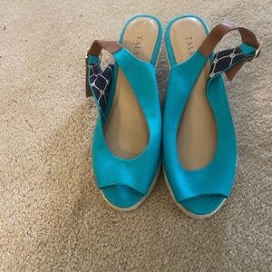 Teal wedges